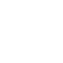 Department of Public Safety